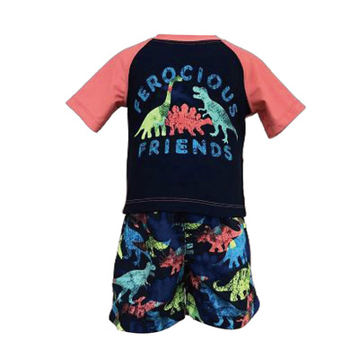 Boy's Two-Pieces Swimsuit